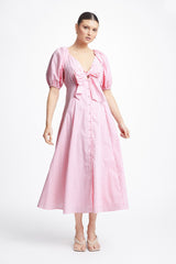 Brianna Dress - Pink Stripe - steele label