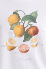 Lemonita Tee - White - steele label